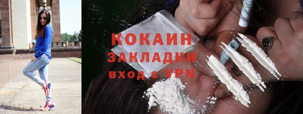 гидра Алексин