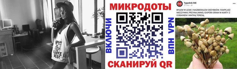 Псилоцибиновые грибы Psilocybe  Невьянск 
